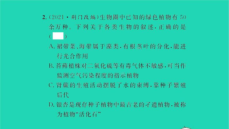 2022—2023学年度新版生物北师大版八年级下册第7单元生命的演化章末复习与小结二习题课件07