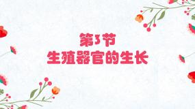 初中生物北师大版七年级上册第3节  生殖器官的生长集体备课课件ppt