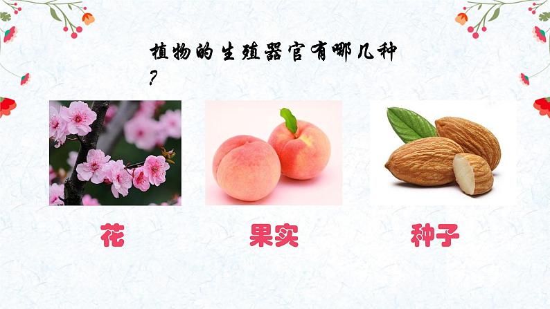 生殖器官的生长第2页