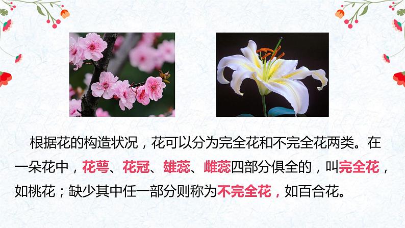 生殖器官的生长第6页