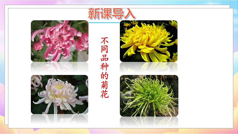 第五节 生物的变异第2页