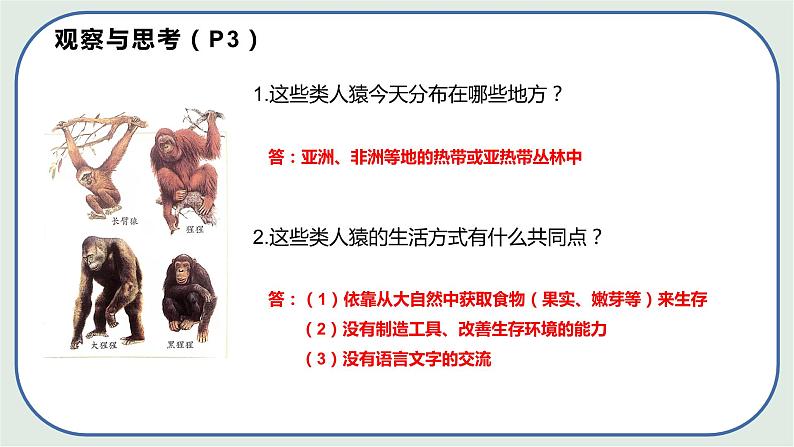 4.1.1 人类的起源和发展 -初中生物七年级下册 课件+练习(人教版新课标)07