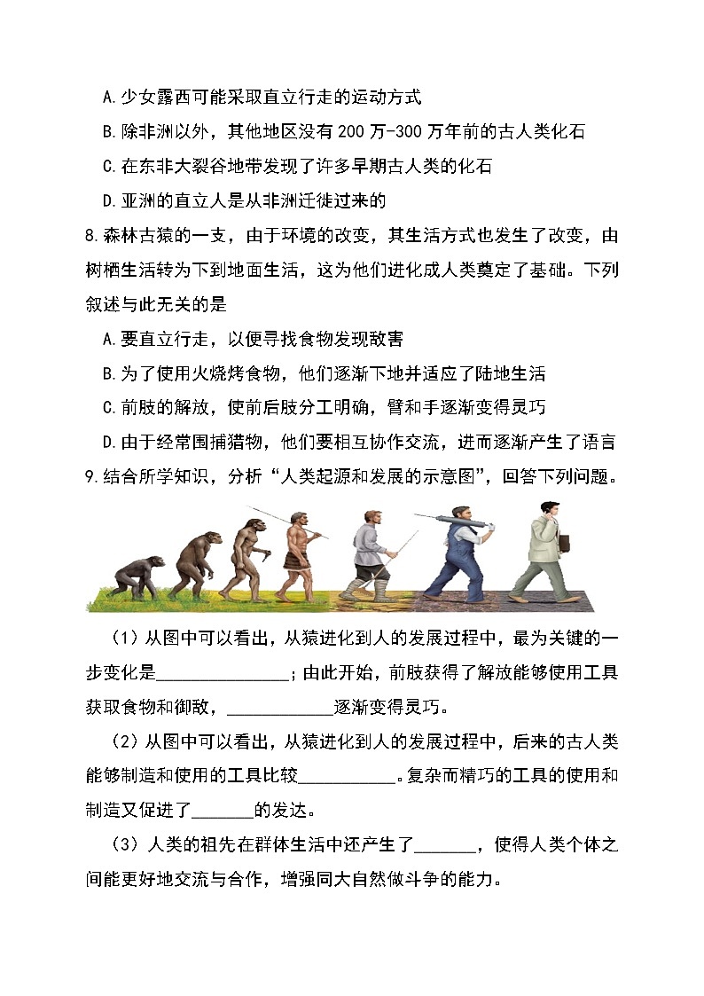 4.1.1 人类的起源和发展 -初中生物七年级下册 课件+练习(人教版新课标)02