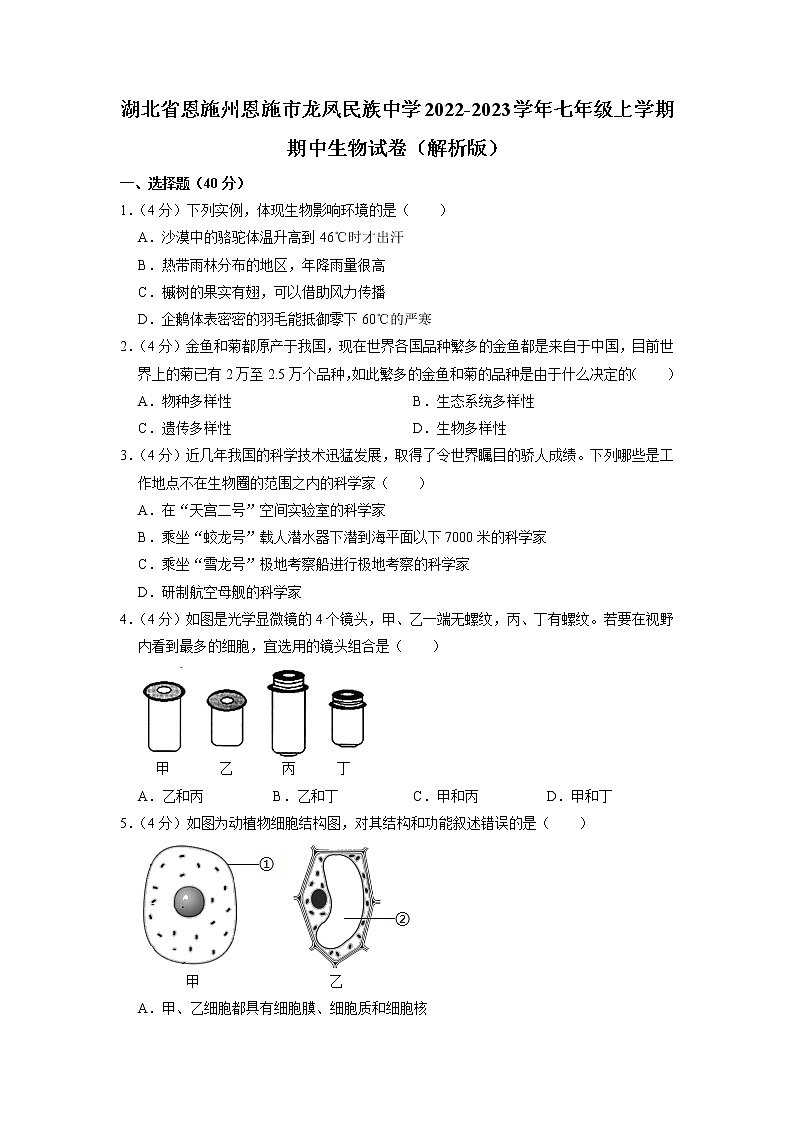 湖北省恩施州恩施市龙凤民族中学2022-2023学年七年级上学期期中生物试卷(含答案)第1页