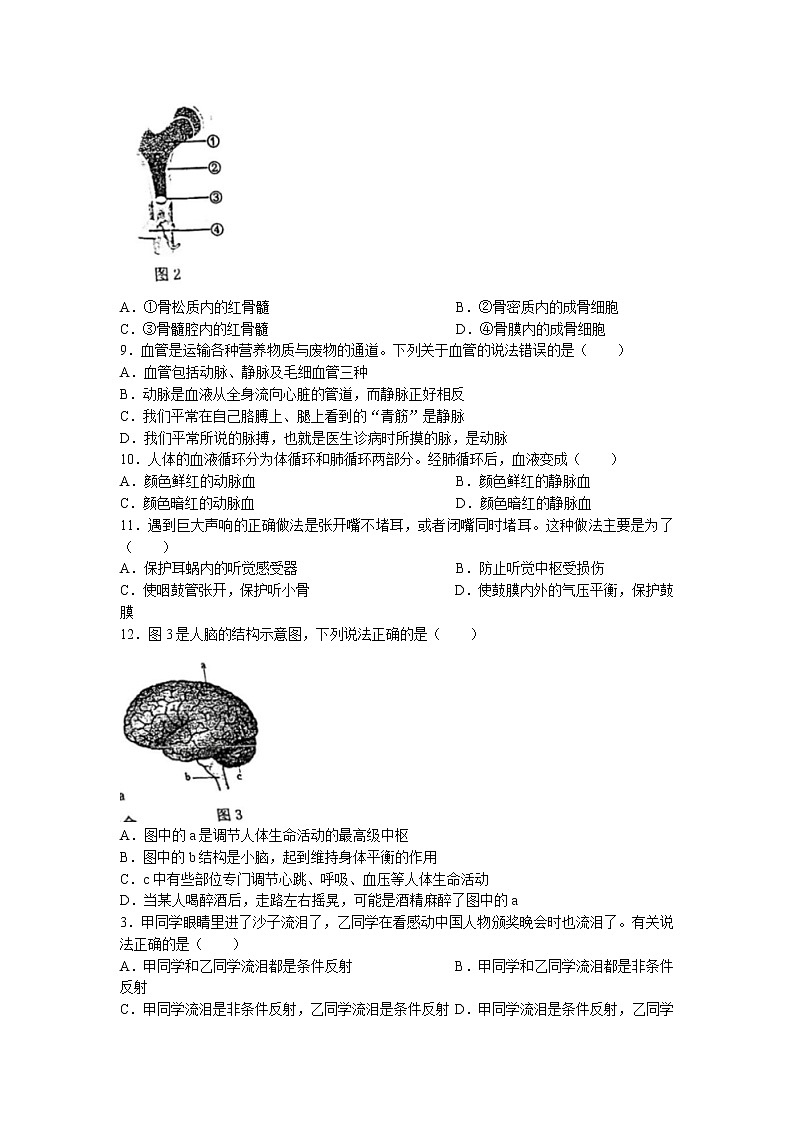 江苏省连云港市新海实验中学2020-2021学年八年级上学期期中生物试题(无答案)第2页