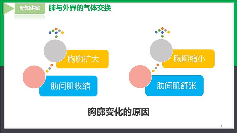 4.3.2发生在肺内的气体交换第7页