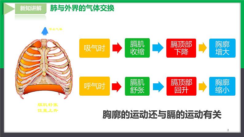 4.3.2发生在肺内的气体交换第8页
