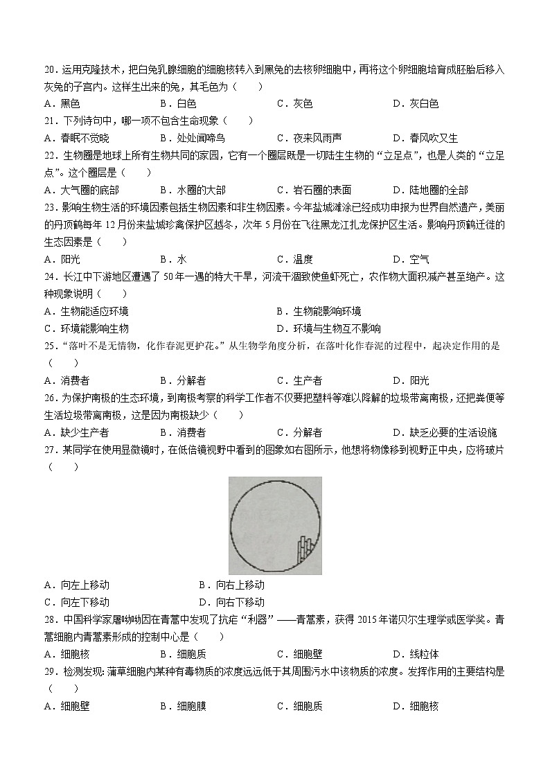 廣東省陽江市陽東區(qū)2022-2023學(xué)年七年級(jí)上學(xué)期期中生物試題(含答案)第3頁