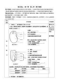 初中生物人教版 (新课标)七年级上册第二节 种子植物学案设计