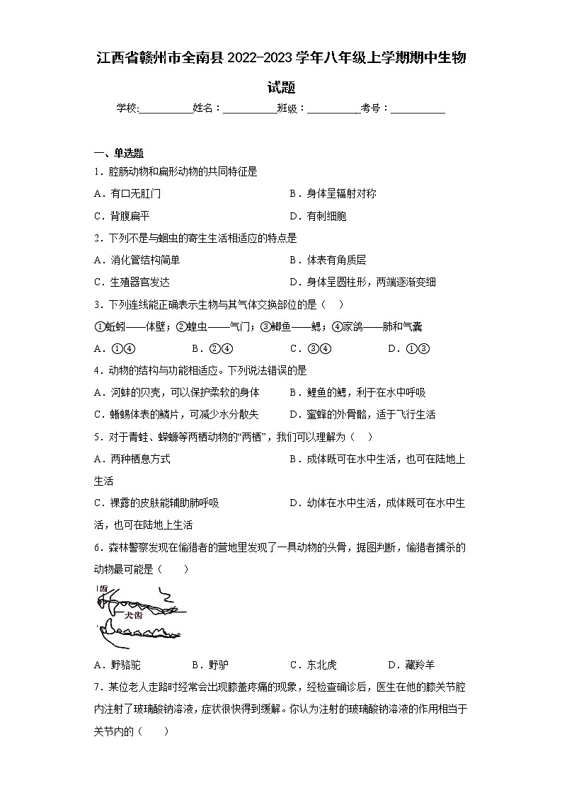 江西省贛州市全南縣2022-2023學(xué)年八年級(jí)上學(xué)期期中生物試題(含答案)第1頁(yè)