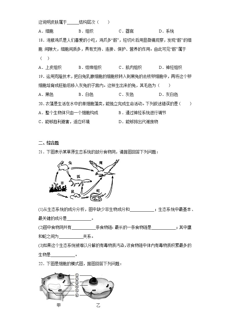 江西省赣州市全南县2022-2023学年七年级上学期期中生物试题(含答案)第3页