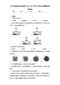 辽宁省沈阳市沈北新区2022-2023学年七年级上学期期中生物试题(含答案)