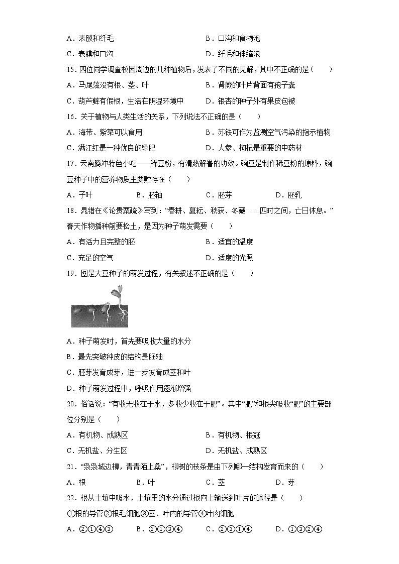 陕西省西安市阎良区2021-2022学年七年级上学期期末生物试题(含答案)第3页