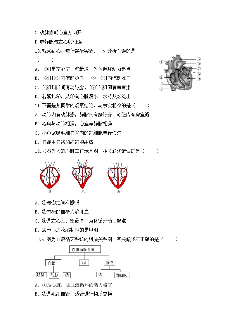 4.4.3《输送血液的泵—心脏》第1课时  课件+教案+习题03