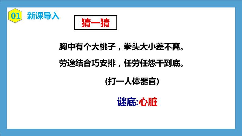 4.4.3《输送血液的泵—心脏》第1课时 课件+教案+习题03