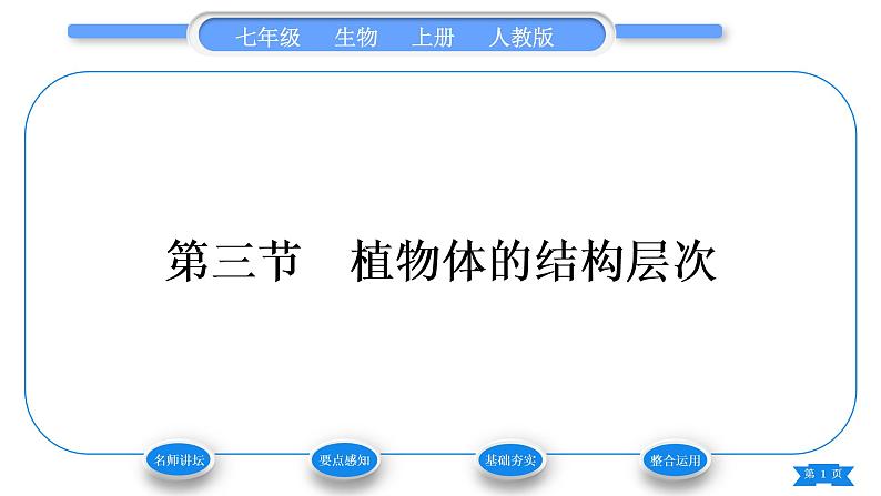 人教版七年级生物上第二单元生物体的结构层次第二章细胞怎样构成生物体第三节植物体的结构层次习题课件第1页