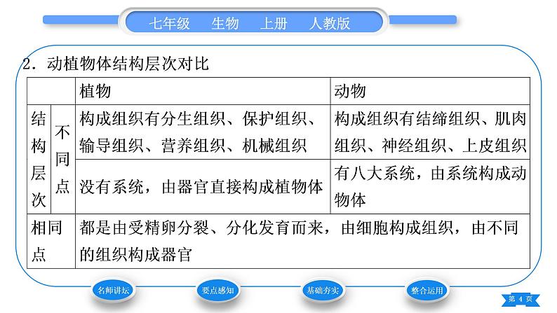 人教版七年级生物上第二单元生物体的结构层次第二章细胞怎样构成生物体第三节植物体的结构层次习题课件第4页