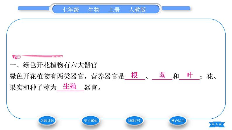 人教版七年级生物上第二单元生物体的结构层次第二章细胞怎样构成生物体第三节植物体的结构层次习题课件第6页