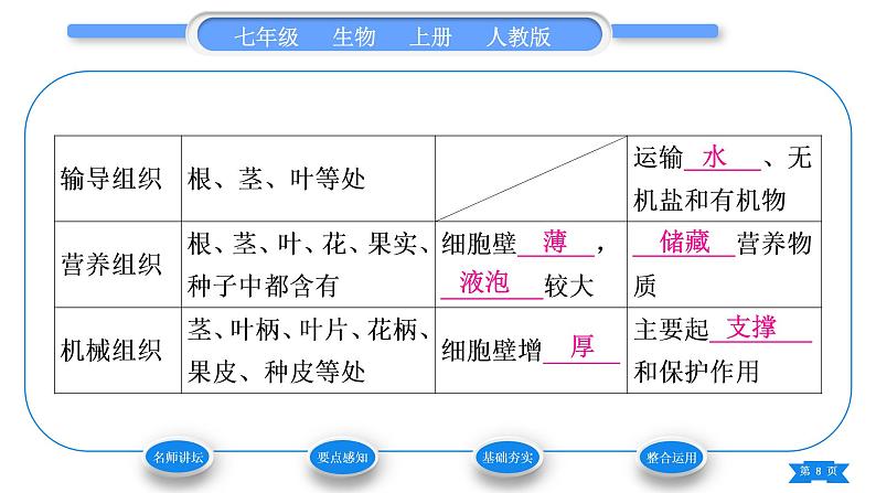 人教版七年级生物上第二单元生物体的结构层次第二章细胞怎样构成生物体第三节植物体的结构层次习题课件第8页