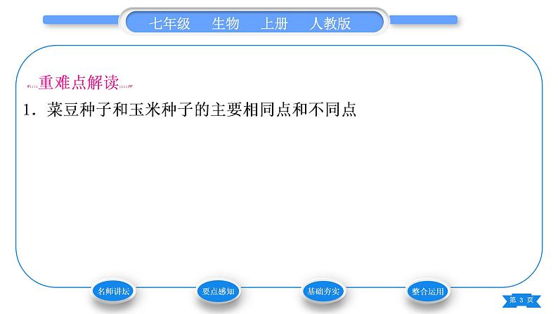 人教版七年级生物上第三单元生物圈中的绿色植物第一章生物圈中有哪些绿色植物第二节种子植物习题课件第3页