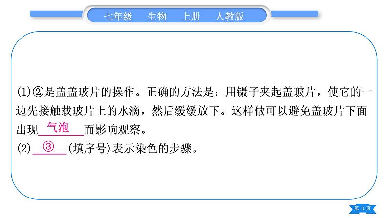 人教版七年级生物上期末复习专项实验探究题习题课件第3页