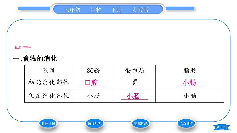 人教版七年级生物下第四单元第2章人体的营养第2节消化和吸收第2课时食物的消化过程和营养物质的吸收习题课件第6页