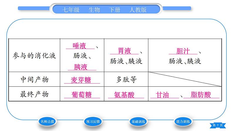 人教版七年级生物下第四单元第2章人体的营养第2节消化和吸收第2课时食物的消化过程和营养物质的吸收习题课件第7页