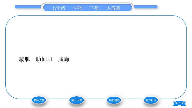 人教版七年级生物下第四单元第3章人体的呼吸第2节发生在肺内的气体交换习题课件第6页