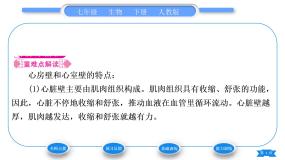 人教版七年级生物下第四单元第4章人体内物质的运输第3节输送血液的泵——心脏第1课时心脏的结构和工作过程习题课件