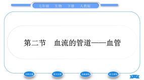 人教版七年级生物下第四单元第4章人体内物质的运输第2节血液的管道——血管习题课件