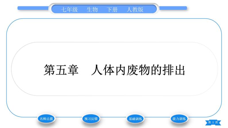 人教版七年级生物下第四单元第5章人体内废物的排出人体内废物的排出习题课件01