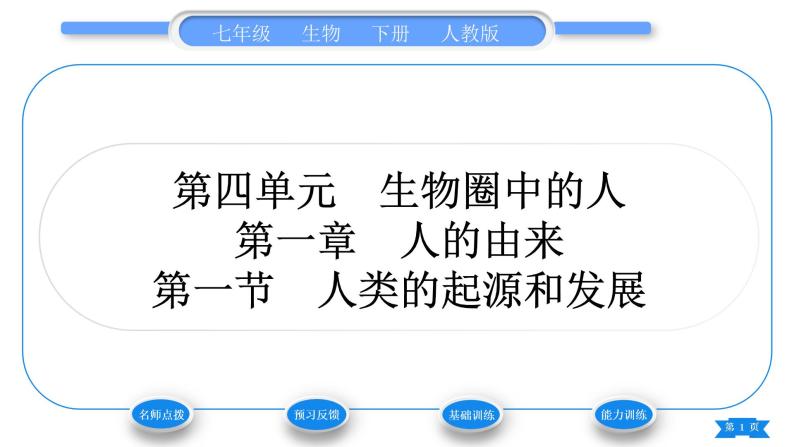 人教版七年级生物下第四单元第1章人的由来第1节人类的起源和发展习题课件01