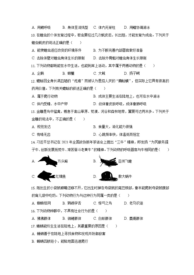 陕西省西安市西咸新区沣东新城第六初级中学2022-2023学年八年级上学期期中生物试卷(含答案)第2页