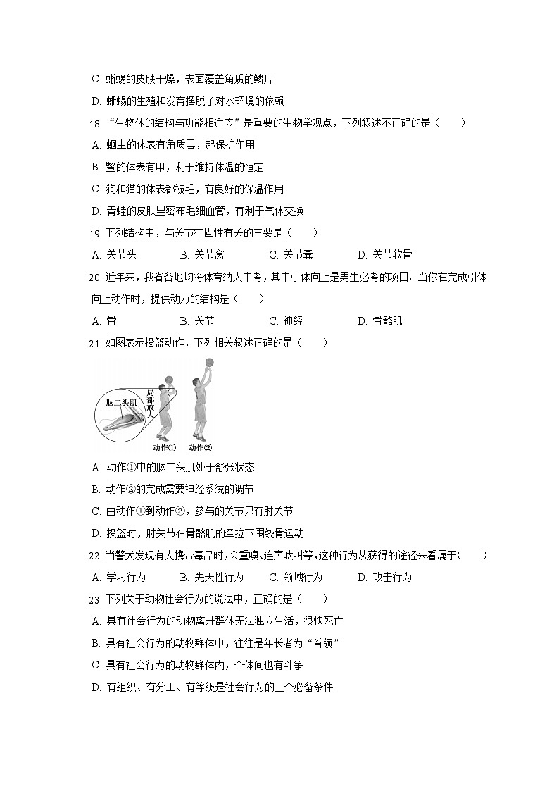 陕西省西安市西咸新区沣东新城第六初级中学2022-2023学年八年级上学期期中生物试卷(含答案)第3页
