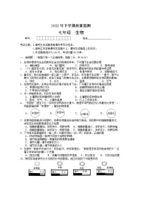 湖南省常德市汉寿县2022-2023学年七年级上学期期中考试生物试题(含答案)