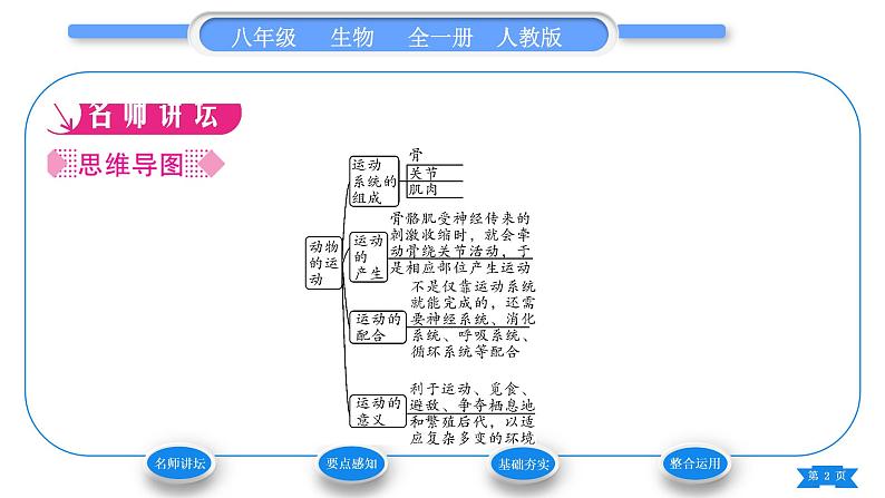 人教版八年级生物上第五单元生物圈中的其他生物第二章动物的运动和行为第一节动物的运动习题课件第2页