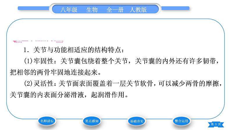 人教版八年级生物上第五单元生物圈中的其他生物第二章动物的运动和行为第一节动物的运动习题课件第3页