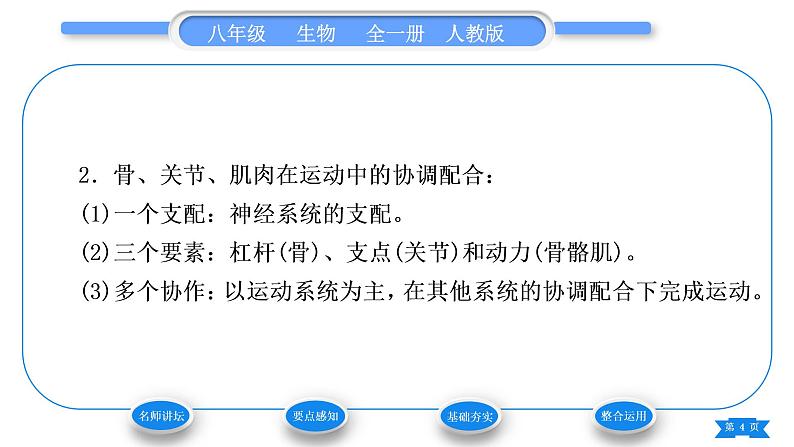 人教版八年级生物上第五单元生物圈中的其他生物第二章动物的运动和行为第一节动物的运动习题课件第4页
