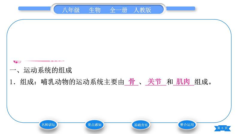 人教版八年级生物上第五单元生物圈中的其他生物第二章动物的运动和行为第一节动物的运动习题课件第6页