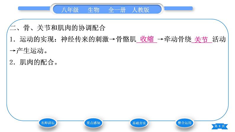 人教版八年级生物上第五单元生物圈中的其他生物第二章动物的运动和行为第一节动物的运动习题课件第8页
