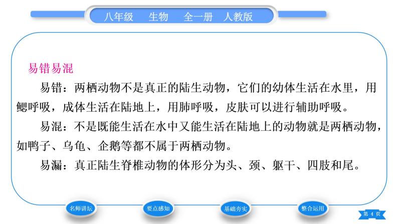 人教版八年级生物上第五单元生物圈中的其他生物第一章动物的主要类群第五节两栖动物和爬行动物习题课件04