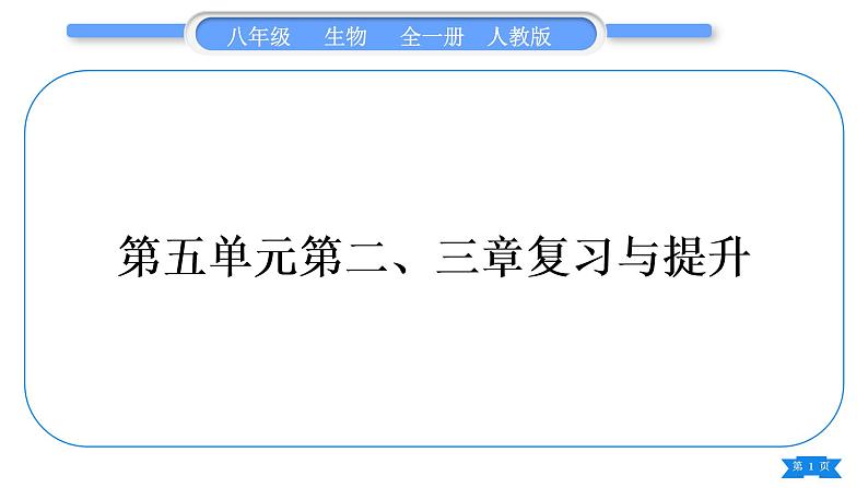 人教版八年级生物上第五单元生物圈中的其他生物第二、三章复习与提升习题课件第1页