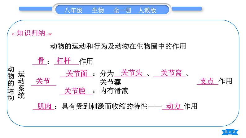 人教版八年级生物上第五单元生物圈中的其他生物第二、三章复习与提升习题课件第2页