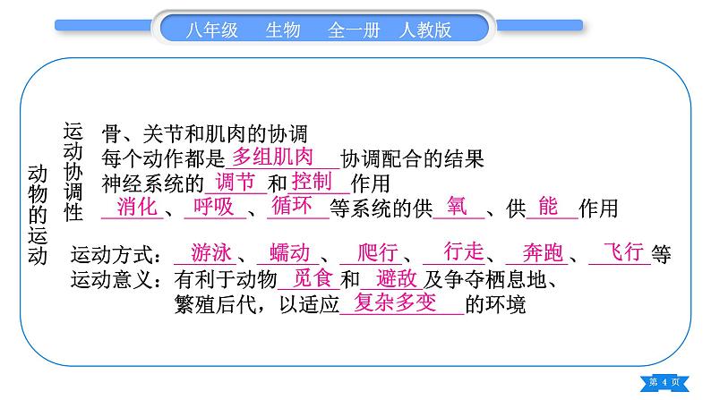 人教版八年级生物上第五单元生物圈中的其他生物第二、三章复习与提升习题课件第4页