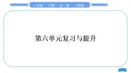 人教版八年级生物上第六单元生物的多样性及其保护复习与提升习题课件