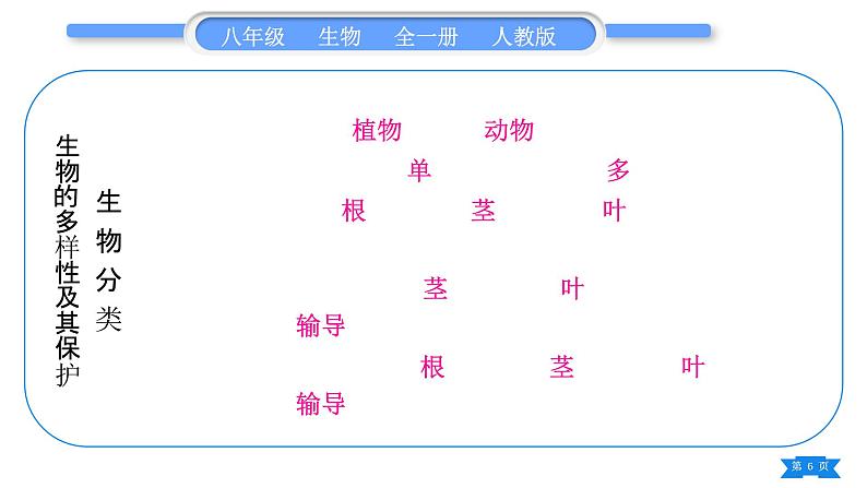 人教版八年级生物上第六单元生物的多样性及其保护复习与提升习题课件第6页