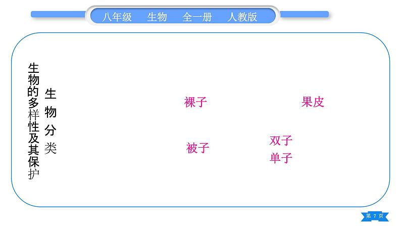 人教版八年级生物上第六单元生物的多样性及其保护复习与提升习题课件第7页