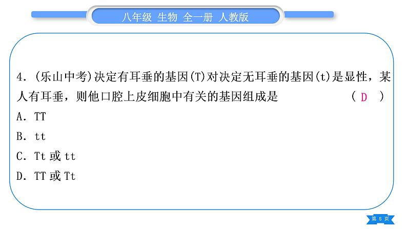 人教版八年级生物下第七单元生物圈中生命的延续和发展第三章生命起源和生物进化专题四生物的进化、遗传和变异习题课件05
