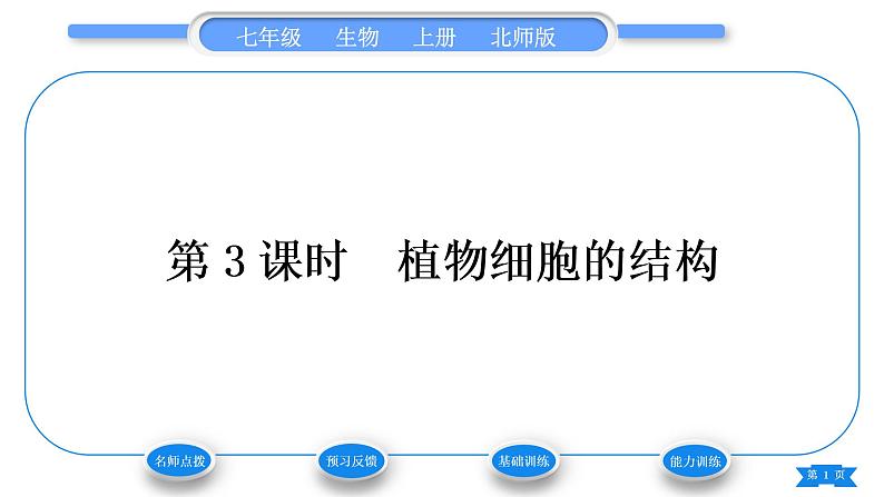 北师大版七年级生物上第2单元生物体的结构第3章细胞第1节细胞的基本结构和功能第3课时植物细胞的结构习题课件01