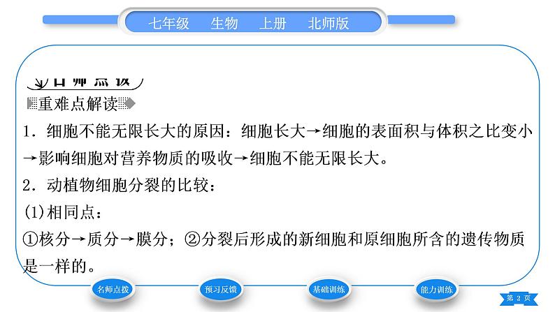 北师大版七年级生物上第2单元生物体的结构第3章细胞第3节细胞通过分裂而增殖习题课件02